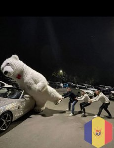 Поздравление с медведем 3,5 метра с музсопровождением.