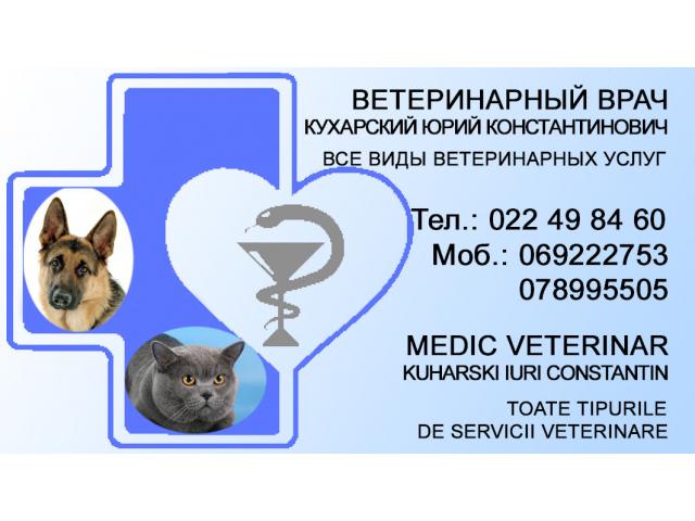 Ветеринарная помощь.вызов ветеринарного врача на дом.