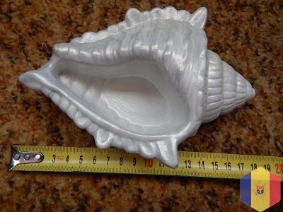 Ракушки для интерьера