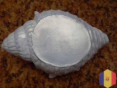Ракушки для интерьера