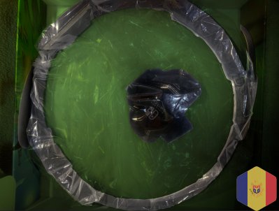 Игра в жанре Nintendo Switch Fit Adventure