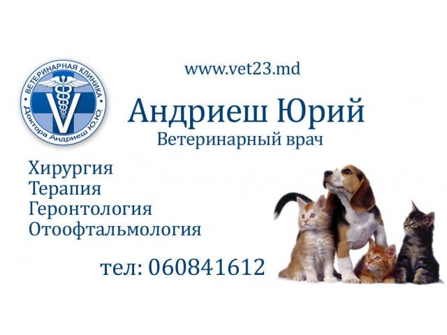 Ветеринарные услуги.