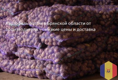Картофель оптом