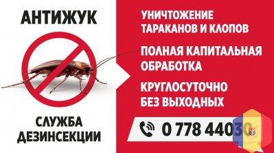 Фирма по борьбе с клопами, вызвать дезинфектора в Тирасполе, кто травит тараканов в ПМР