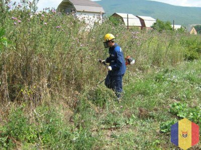 Благоустройство. Планировка под газон