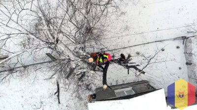 Удаление деревьев, вырубка, валка и обрезка. Бензопильщик