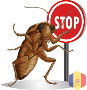 Истребление тараканов