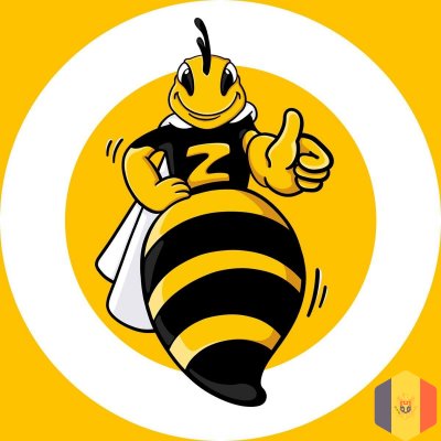 Obțineți ajutor financiar rapid și sigur de la Zoomcredit!