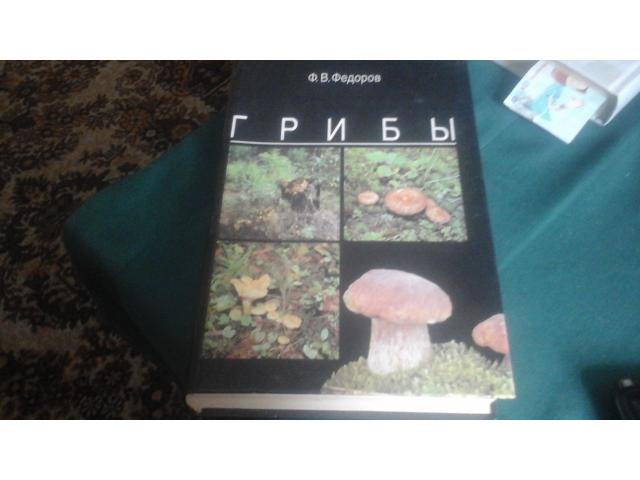 Продам книгу грибы